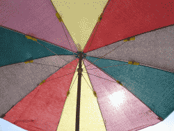 parasollweb
