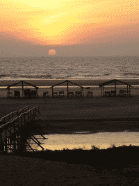 solnedgang